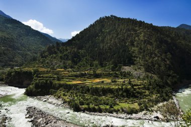 Bhagirathi Nehri, gangotri, uttarkashi district, uttarakhand, 