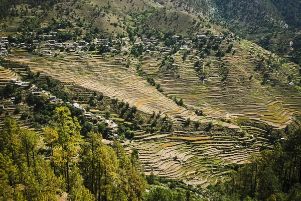 Vysoký úhel pohledu na malé obci s řadový pole, Uttarkashi — Stock fotografie