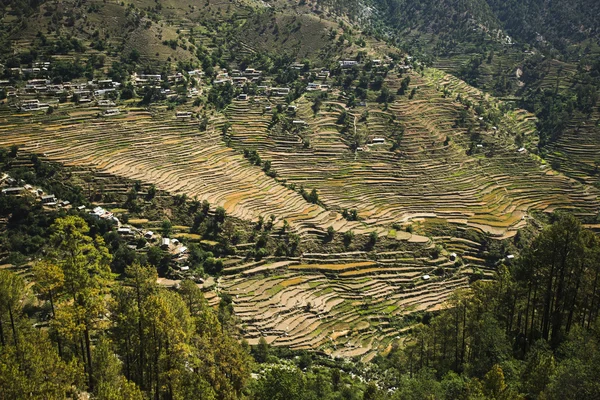 Küçük köyün teraslı alan, uttarkashi ile yüksek açılı görünüş — Stok fotoğraf