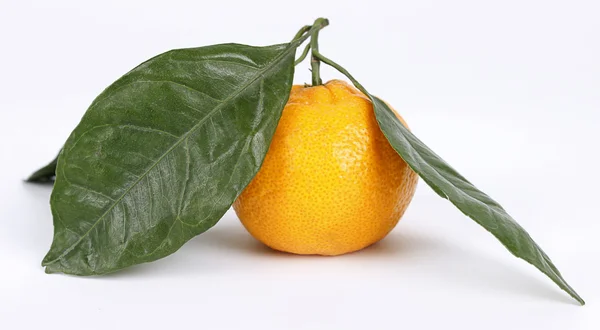 Yeşil yapraklar üzerinde beyaz izole kök üzerinde taze mandalina