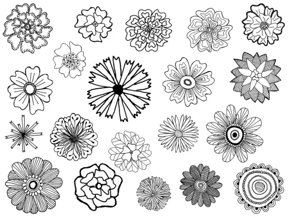Sada vektorové doodle květin — Stockový vektor