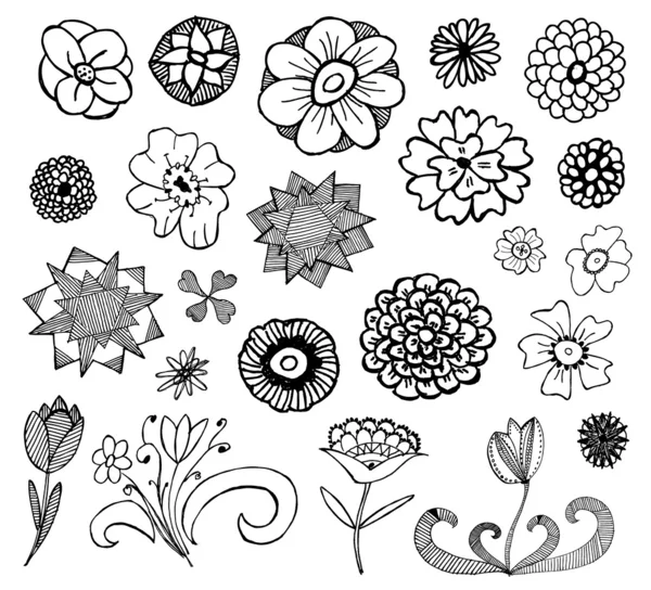 Gyűjteménye vektor doodle virágok — Stock Vector