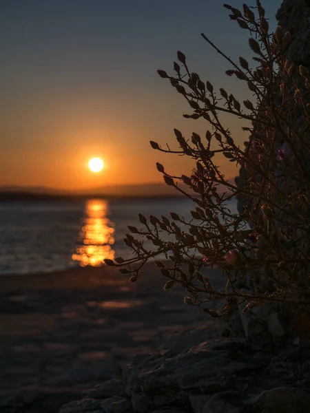 Günbatımında ön planda kayalar ve Hırvatistan kıyılarında dağlar var. Akdeniz 'de bir yaz sahnesi.
