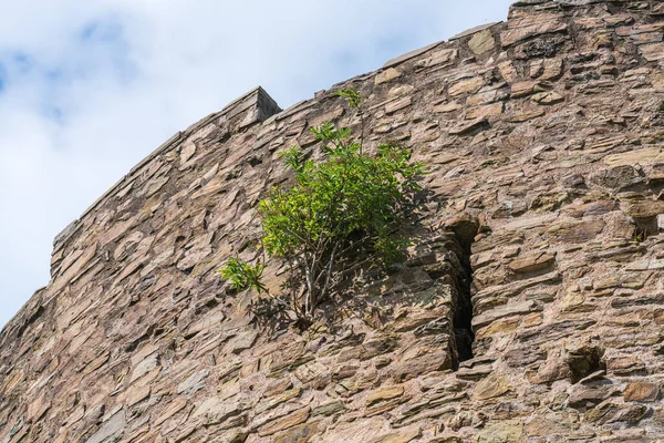 Μεγαλωμένες Τρύπες Στον Πύργο Ενός Μεσαιωνικού Κάστρου — Φωτογραφία Αρχείου