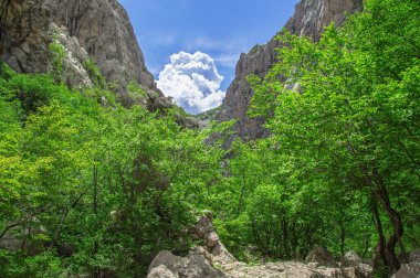 Velebit Dağları 'nın zirveleri arasında yeşil bir vadide bulutlar belirir..