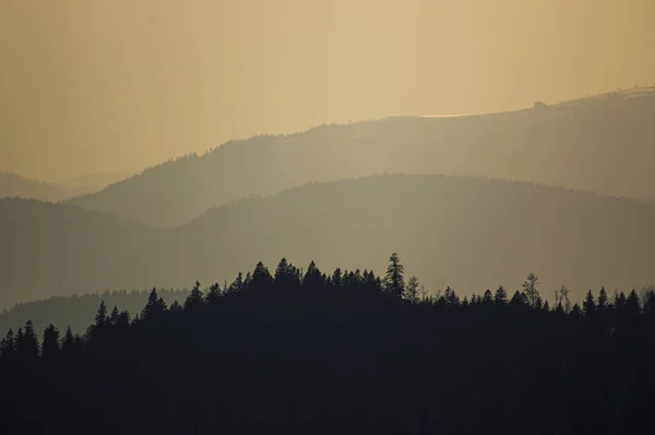 Vista Mística Sobre Colinas Floresta Negra Apanhada Névoa Contra Luz — Fotografia de Stock