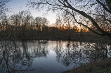 Akşam ışığında suya yansıyan çıplak ağaçlarla dolu bir göl..