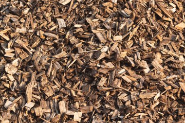 Gündüz vakti dağınık ahşap talaşlarının ekran dolgusu..