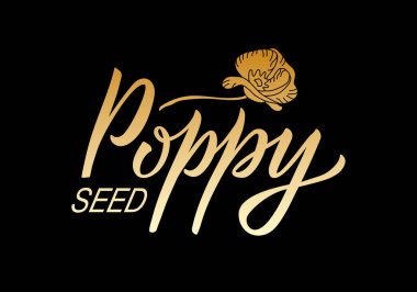 Paketler, ürün tasarımı, afiş, baharat dükkanı fiyat listeleri için haşhaş tohumu harflerinin vektör çizimi. Web ya da yazdırmak için çiçek içeren el yazısıyla yazılmış ifade