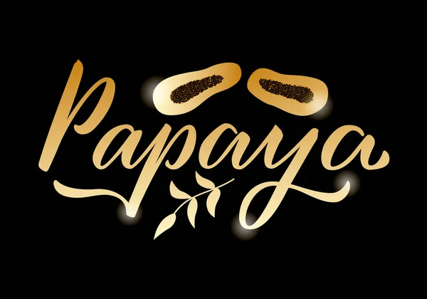 Ilustración Vectorial Letras Papaya Para Diseño Productos Pancarta Póster Paquete — Vector de stock