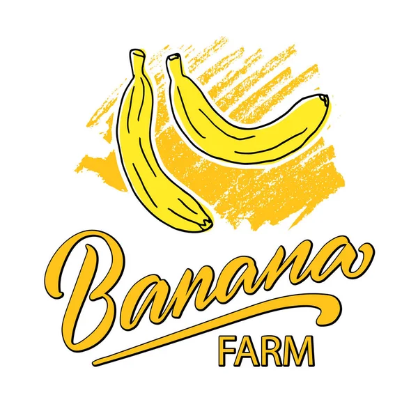 两个香蕉的矢量插图 带有黑黄手写文字 用于横幅 包装设计 用于网页设计或印刷的创造性字体 — 图库矢量图片