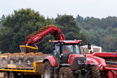 Woodbridge Suffolk İngiltere 16 Ağustos 2021: Küresel tedarik hatlarında ciddi sorunlar ve süpermarketlerde ayak sıkıntısı yaşayan küresel bir salgının zirvesinde İngiliz patatesleri hasat ediliyor