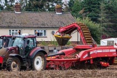 Woodbridge Suffolk İngiltere 16 Ağustos 2021: Küresel tedarik hatlarında ciddi sorunlar ve süpermarketlerde ayak sıkıntısı yaşayan küresel bir salgının zirvesinde İngiliz patatesleri hasat ediliyor