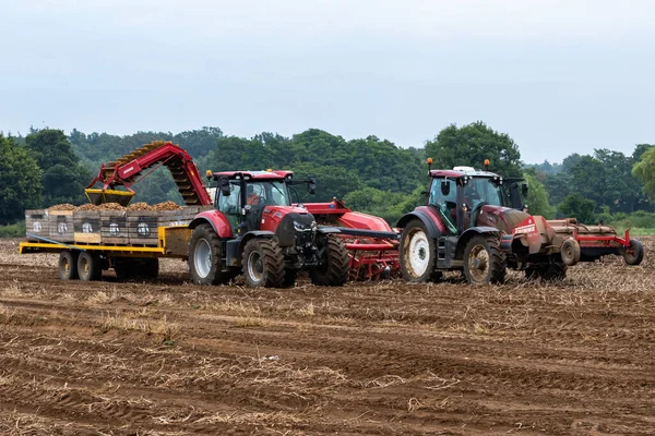 Woodbridge Suffolk İngiltere 16 Ağustos 2021: Küresel tedarik hatlarında ciddi sorunlar ve süpermarketlerde ayak sıkıntısı yaşayan küresel bir salgının zirvesinde İngiliz patatesleri hasat ediliyor