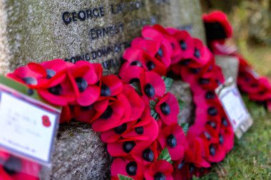 Woodbridge Suffolk UK 11 Kasım 2021: Kırmızı haşhaş çelenkleri, savaş ölüsü Suffolk UK anısına bir savaş anıtı hazırladı