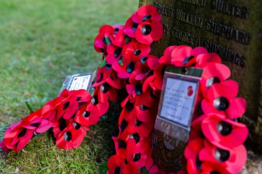 Woodbridge Suffolk UK 11 Kasım 2021: Kırmızı haşhaş çelenkleri, savaş ölüsü Suffolk UK anısına bir savaş anıtı hazırladı