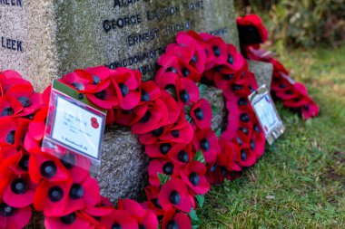 Woodbridge Suffolk UK 11 Kasım 2021: Kırmızı haşhaş çelenkleri, savaş ölüsü Suffolk UK anısına bir savaş anıtı hazırladı