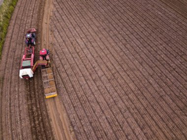 Woodbridge Suffolk İngiltere 12 Ağustos 2021: Yanında bir römork yüklerken patatesleri hasat eden bir traktör