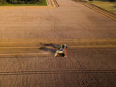 Woodbridge Suffolk UK 12 Ağustos 2021: Mısır tanelerini traktör römorkuna yüklerken havadan çekim. Çiftçilik kavramı, hasat kavramı
