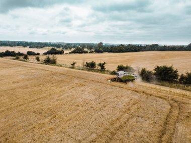 Woodbridge Suffolk UK 23 Temmuz 2021: Yaz hasat sezonunun ortasında hasat tanelerini birleştiren hava çekimi. Çiftçilik kavramı, hasat kavramı