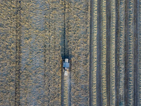 Вудбрідж Саффолк Велика Британія Липня 2021 Повітряний Постріл Суміші Зернових — стокове фото