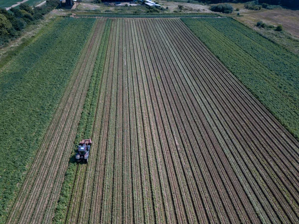 Vista Aérea Tractor Hilling Patatas Con Disco Hiller Campo Patatas — Foto de Stock
