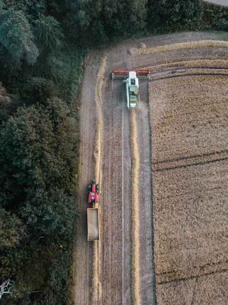 Woodbridge Suffolk July 2021 Aerial Shot Combine Loading Corn Grains — Stock Photo, Image