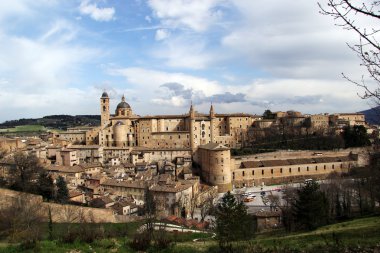 Urbino