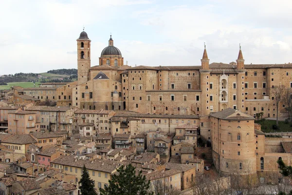 Urbino —  Fotos de Stock