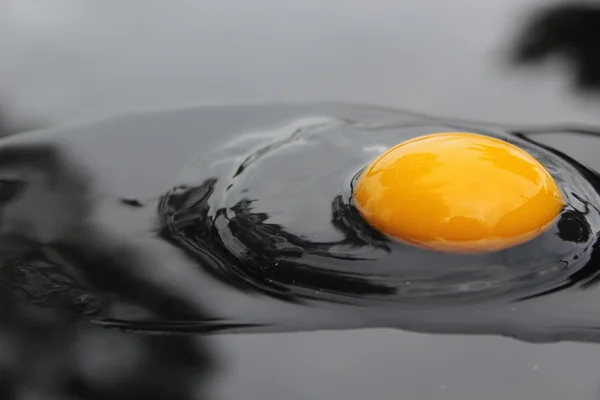 Eieren — Stockfoto