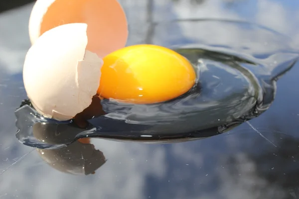 Eggs — Stock Photo, Image