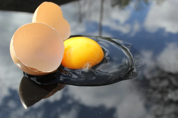 Eggs — Stock Photo, Image