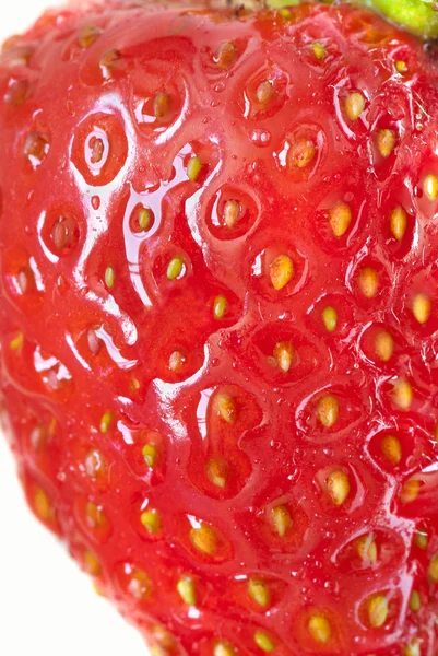 Ripe Strawberry on White, Side Macro — Stock Photo, Image