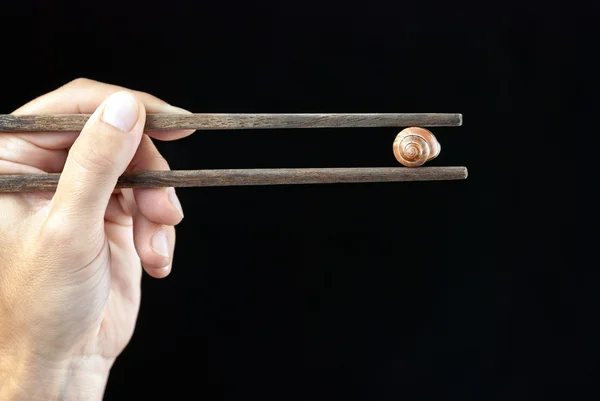 Mano que sostiene la cáscara del caracol usando palillos —  Fotos de Stock