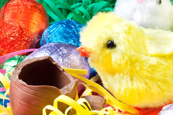 Easter Chick Eats Egg — Stock Photo, Image