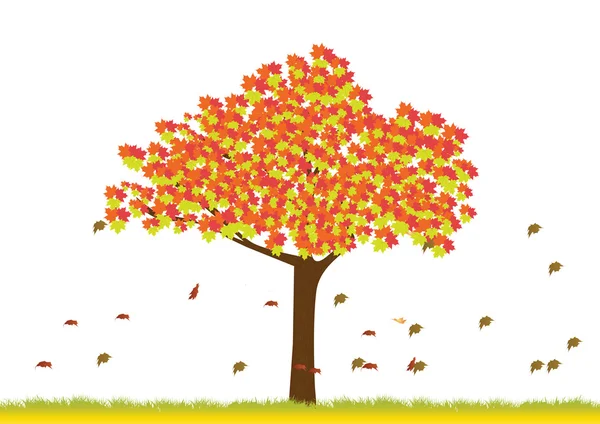 Árbol de arce en temporada de otoño — Vector de stock