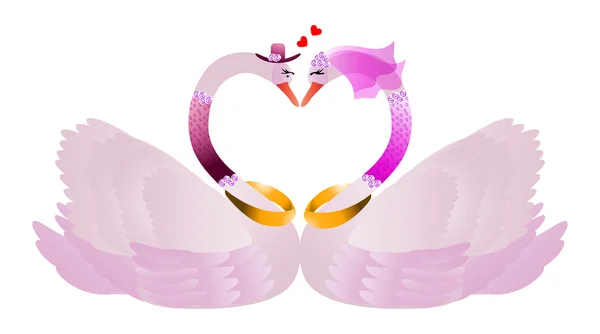 Romantic swan couple — Stock Vector