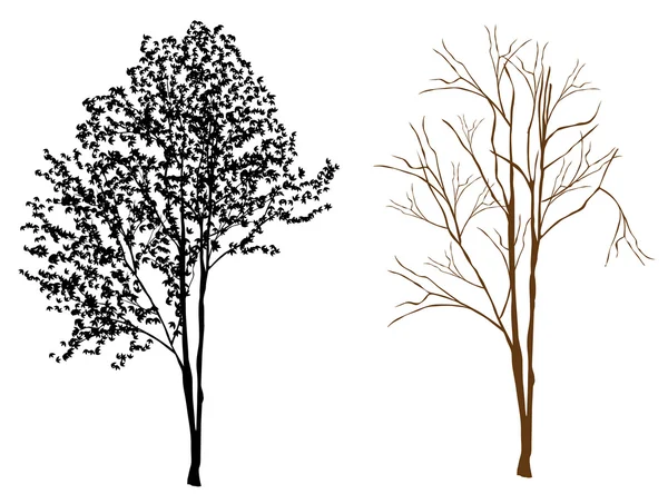 Silueta de árbol — Archivo Imágenes Vectoriales