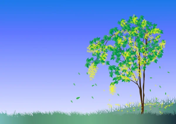 Wiosna tree.vector — Wektor stockowy