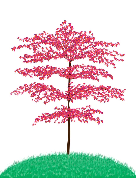 Schöner Baum — Stockvektor