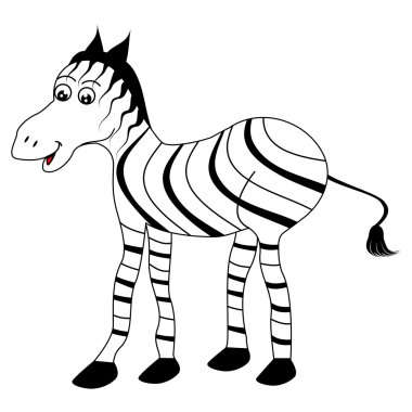 Zebra