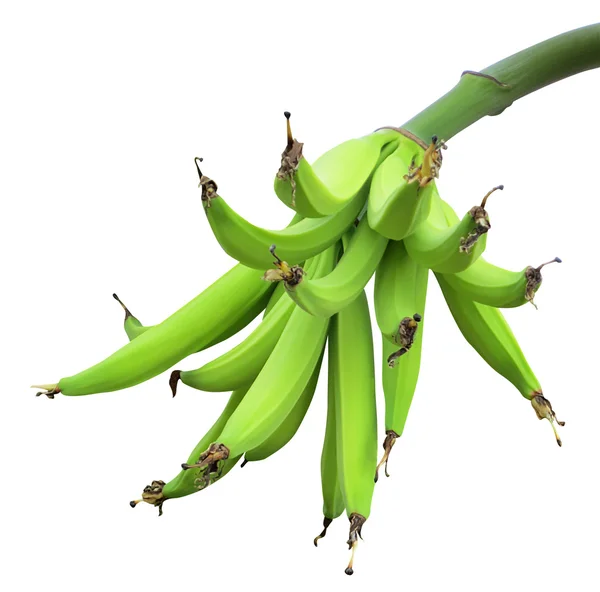 Groene bananen — Stockfoto