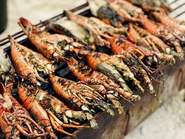 Dev Izgara Istakozlar Nakupenda Adası, Zanzibar, Tanzanya 'da Kömür Ocağı' nda Pişiyor