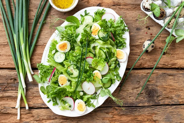 Fresh Spring Salad Lettuce Cucumbers Radishes — 스톡 사진