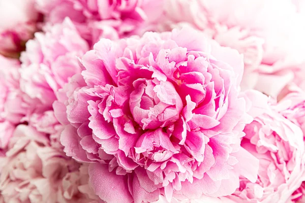 Beautiful Bouquet Pink Peonies Floral Shop Concept Selective Focus —  Fotos de Stock
