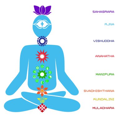 vektör çizim güç yapısı