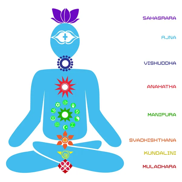 vektör çizim güç yapısı