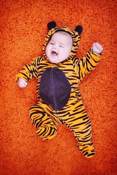 Tiger cub Royaltyfria Stockbilder