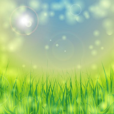 çim ile ekolojik arka plan