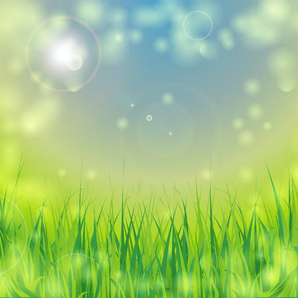 Fond écologique avec herbe — Image vectorielle